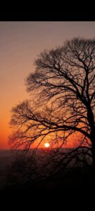 Lingkungan Hidup Menjadi Tanggung Jawab Bersama