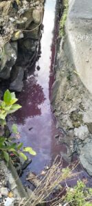 PT Kraft Boxindo Mentari Diduga Buang Limbah B3 ke Saluran Air, Redaksi Sudah Layangkan Permohonan Audiensi