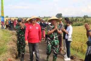 Panen Raya Subak Lanyah Delod Jalan, Kodim Tabanan Perkuat Ketahanan Pangan Nasional