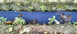 Antara Data dan Tindakan: Dugaan Limbah B3 Tak Kunjung Berbuah Penegakan, Kinerja LH Kabupaten Tangerang Disorot